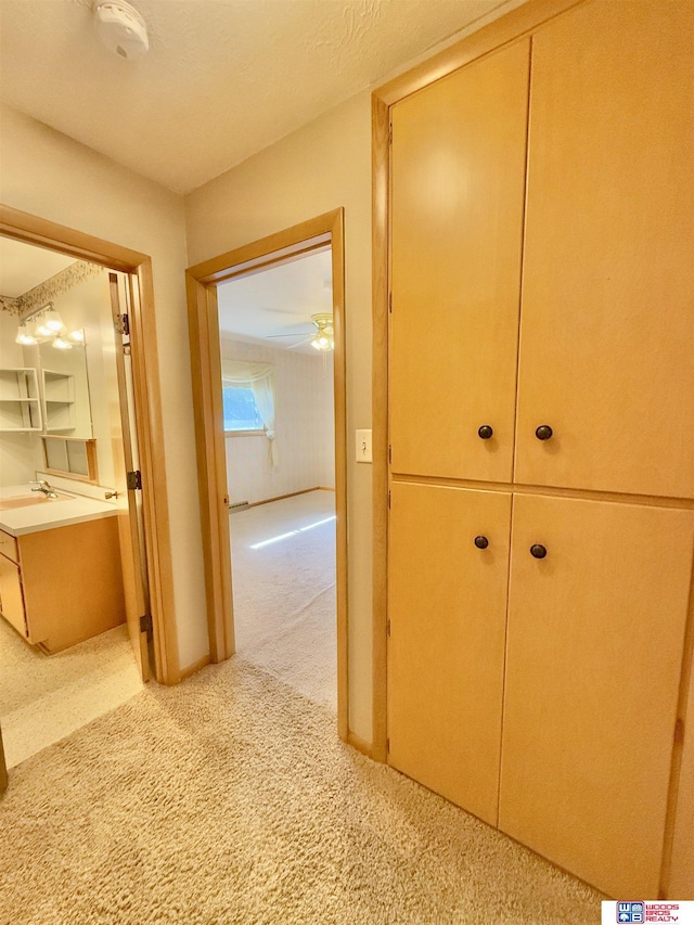 1254 N 8th St, Seward, NE 68434 - corridor featuring light carpet and a sink
