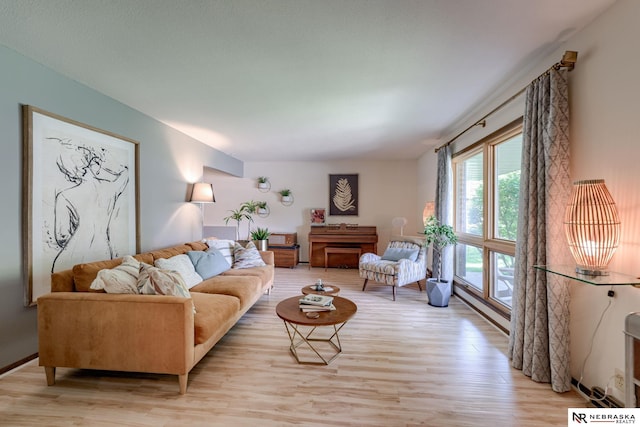 1373 S 137th Ave, Omaha, NE 68144 - living room with light wood-type flooring