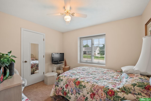411 Hillside Ave, Yutan, NE 68073 - carpeted bedroom with ceiling fan