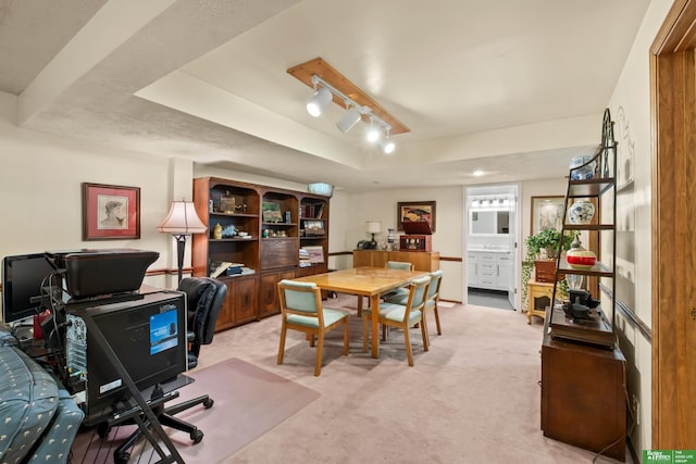 411 Hillside Ave, Yutan, NE 68073 - office area with light carpet, a raised ceiling, and rail lighting