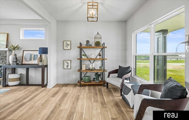7409 N 176th Ave, Bennington, NE 68007 - sitting room featuring light wood-style floors, plenty of natural light, and a chandelier