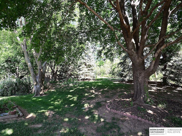 1502 Sunshine Blvd, Bellevue, NE 68123 - view of green lawn