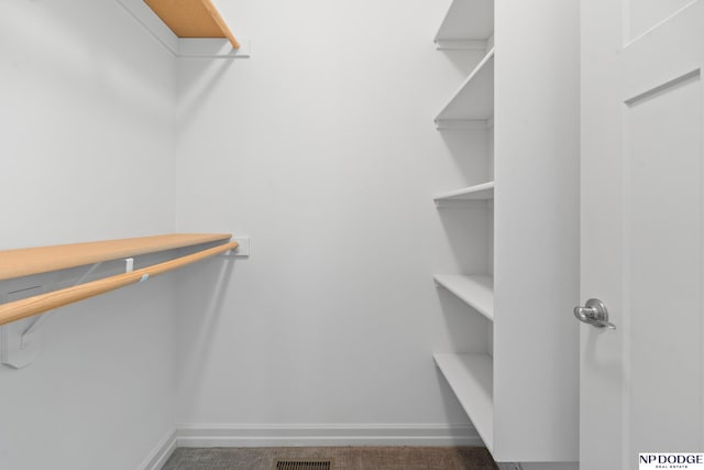 1320 S 190th Plz, Omaha, NE 68130 - spacious closet featuring carpet