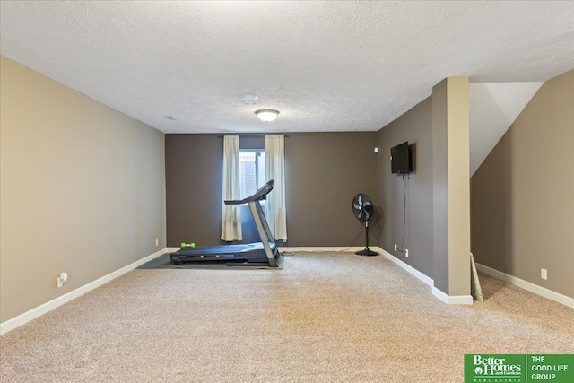 14611 S 24th St, Bellevue, NE 68123 - exercise room with carpet floors and a textured ceiling
