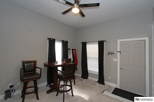 4300 N St, Lincoln, NE 68510 - office featuring ceiling fan and light carpet