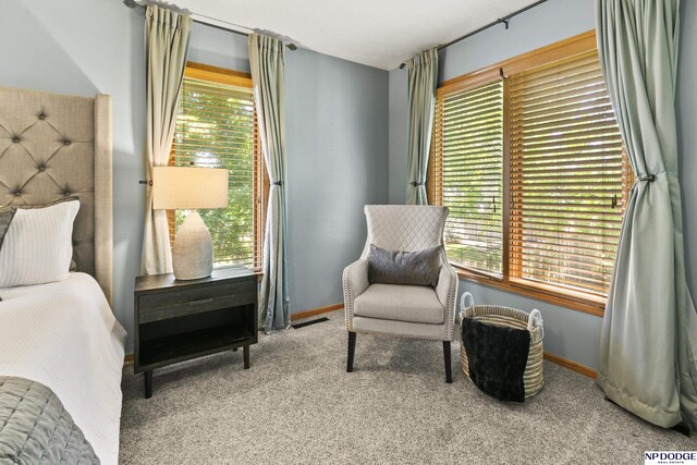 16367 Y St, Omaha, NE 68135 - carpeted bedroom with multiple windows