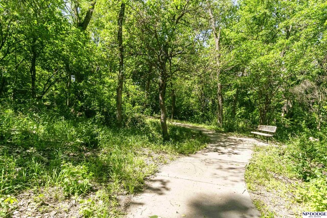 16367 Y St, Omaha, NE 68135 - view of property's community featuring a forest view