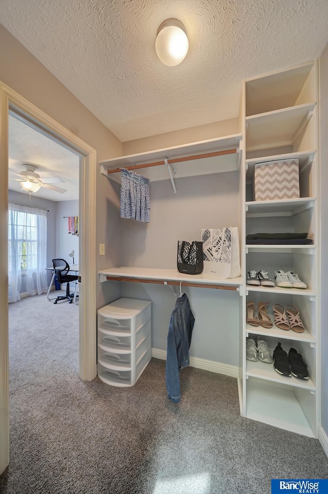 5441 S 88th St, Lincoln, NE 68526 - spacious closet featuring carpet
