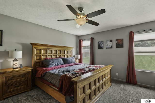 6015 S 193rd St, Omaha, NE 68135 - bedroom with carpet, multiple windows, a textured ceiling, and ceiling fan