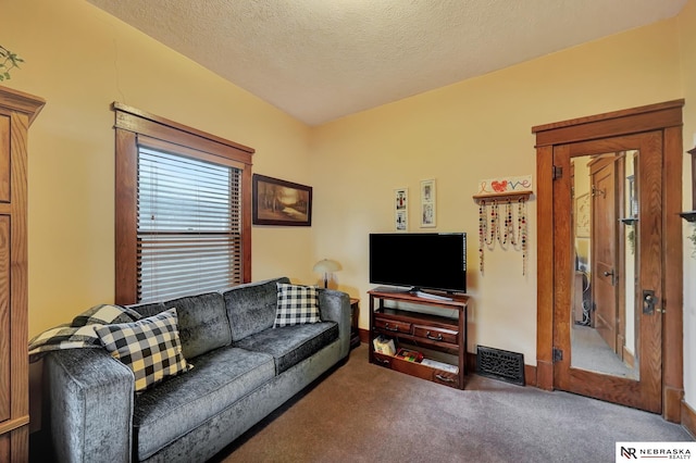 6409 Logan Ave, Lincoln, NE 68507 - living room featuring carpet and a textured ceiling