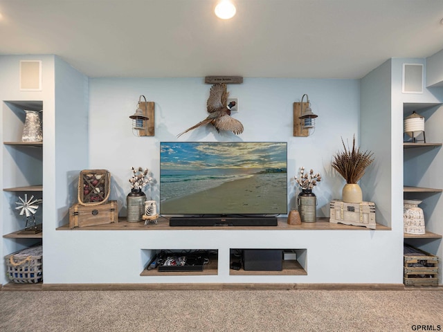15413 Bondesson St, Bennington, NE 68007 - detailed view of carpet floors