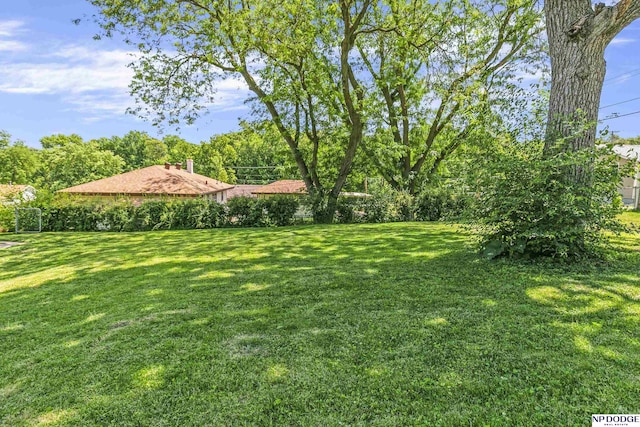 2705 Margo St, Bellevue, NE 68147 - view of green lawn