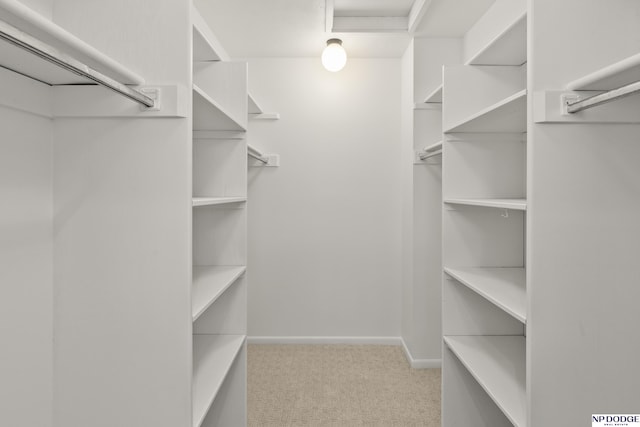 12328 Rose Ln, Omaha, NE 68154 - spacious closet featuring carpet