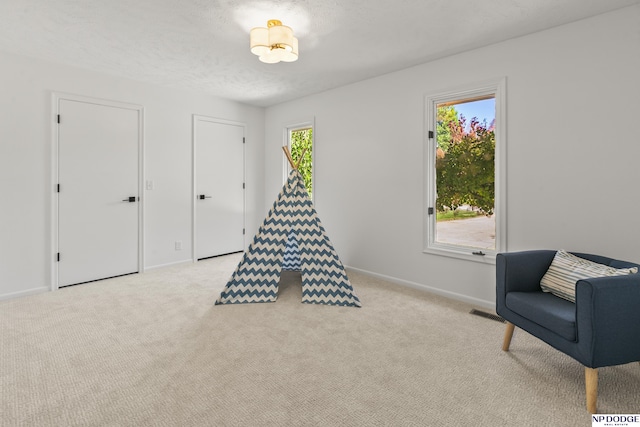 12328 Rose Ln, Omaha, NE 68154 - playroom featuring carpet and baseboards