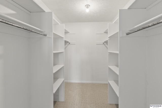 12328 Rose Ln, Omaha, NE 68154 - spacious closet featuring carpet floors