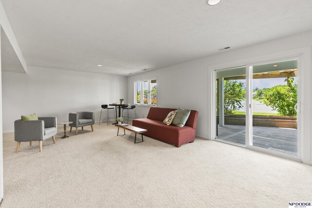 12328 Rose Ln, Omaha, NE 68154 - living area with carpet and recessed lighting