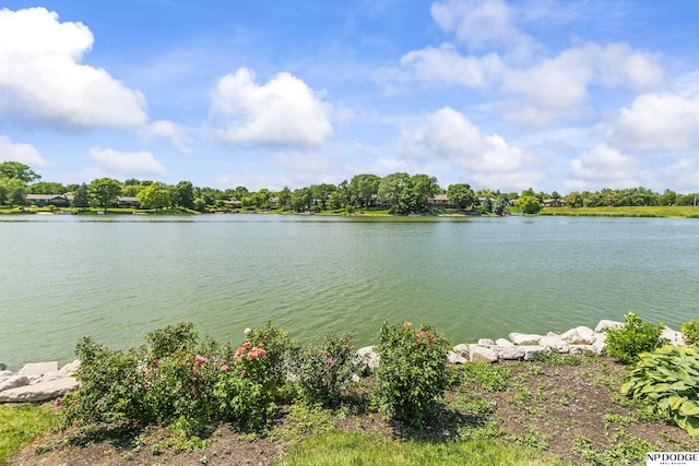 12328 Rose Ln, Omaha, NE 68154 - water view