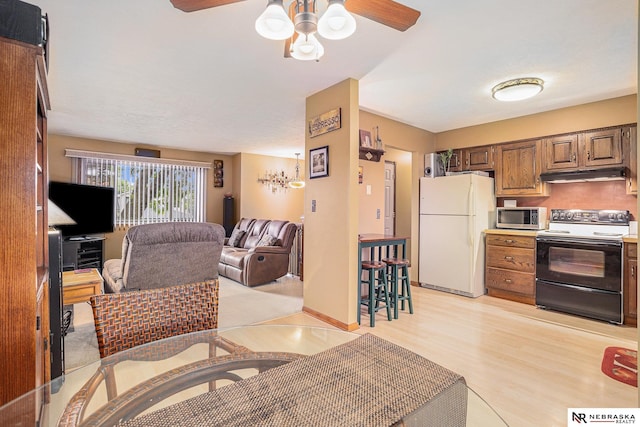 2219 Independence Dr, Lincoln, NE 68521 - living room featuring a ceiling fan and light wood-style floors