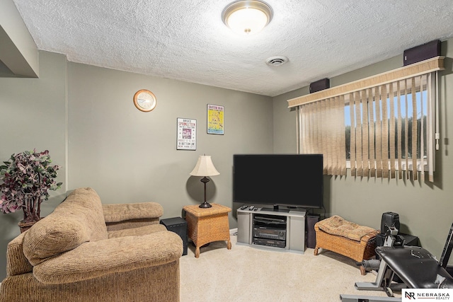 2219 Independence Dr, Lincoln, NE 68521 - carpeted living room with a textured ceiling