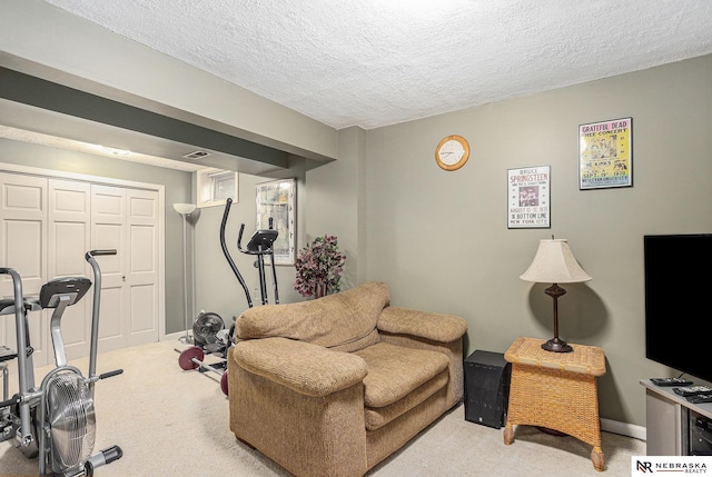2219 Independence Dr, Lincoln, NE 68521 - exercise area with carpet flooring and a textured ceiling