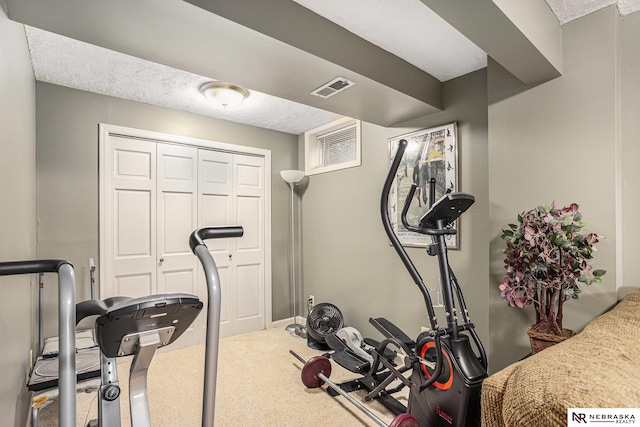 2219 Independence Dr, Lincoln, NE 68521 - workout area featuring carpet flooring
