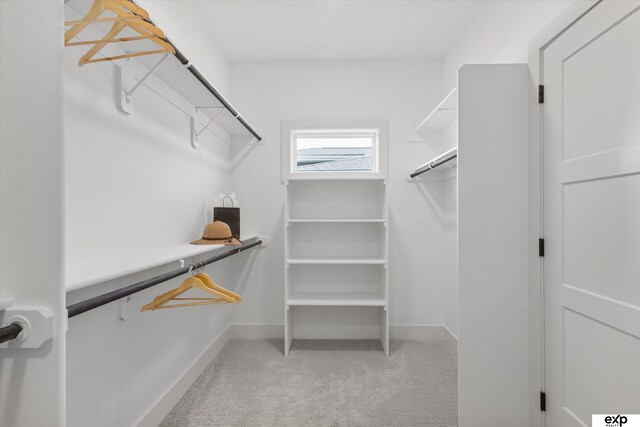 5516 N 208th Ave, Omaha, NE 68022 - walk in closet with light colored carpet