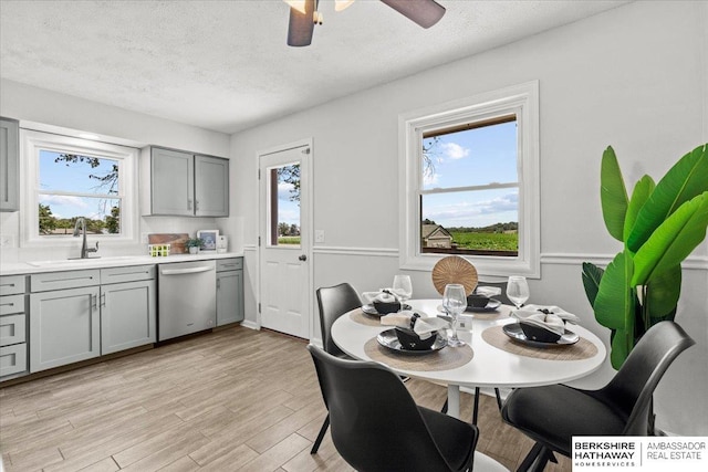 301 Gladys Ave, Yutan, NE 68073 - dining room with healthy amount of natural light, a textured ceiling, a ceiling fan, and light wood-type flooring