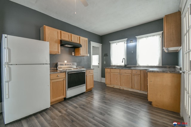 603 E Maple St, Sutton, NE 68979 - kitchen with white appliances, under cabinet range hood, dark wood-type flooring, and healthy amount of natural light