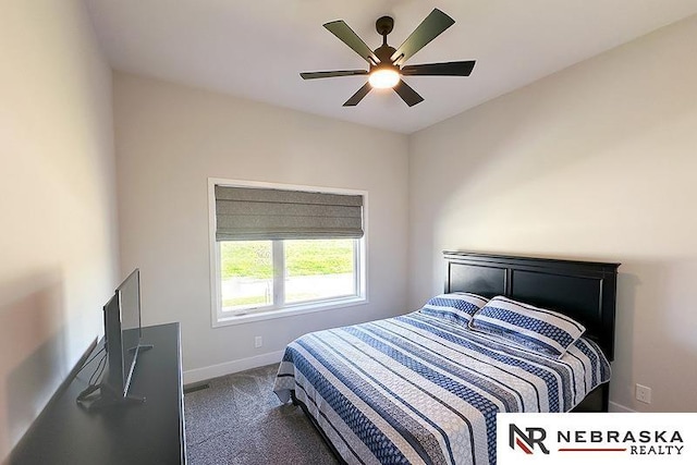 11701 S 119th Ave, Papillion, NE 68046 - bedroom featuring carpet and ceiling fan