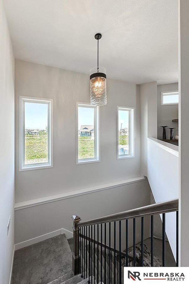 11701 S 119th Ave, Papillion, NE 68046 - staircase featuring plenty of natural light