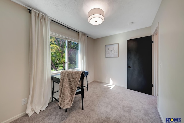 6833 Summerset Ct, Lincoln, NE 68516 - home office with carpet flooring and baseboards