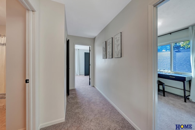 6833 Summerset Ct, Lincoln, NE 68516 - corridor featuring light colored carpet