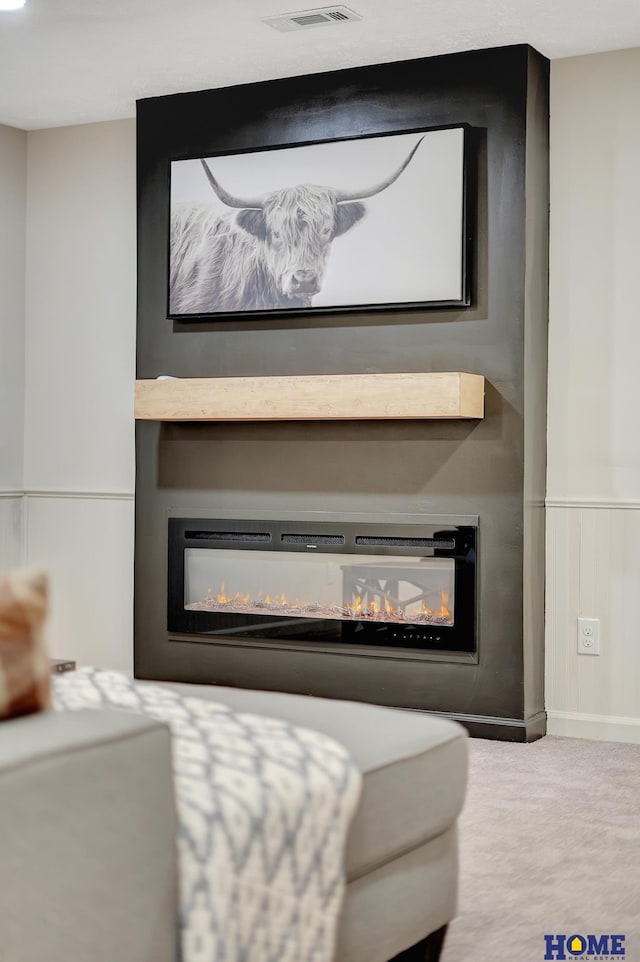 6833 Summerset Ct, Lincoln, NE 68516 - detailed view of a glass covered fireplace and carpet flooring
