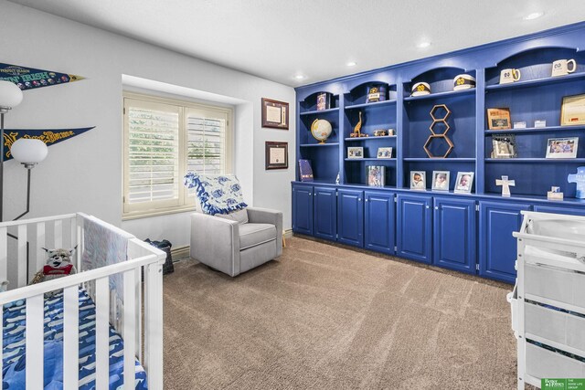 1015 N 127th Cir, Omaha, NE 68154 - bedroom with light carpet and recessed lighting