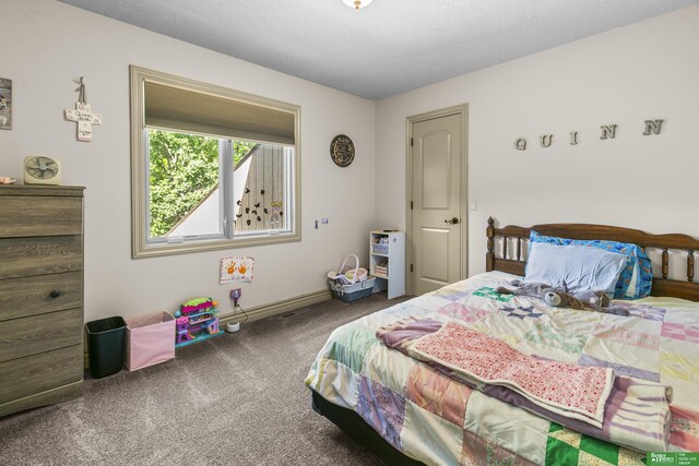 1015 N 127th Cir, Omaha, NE 68154 - carpeted bedroom with baseboards