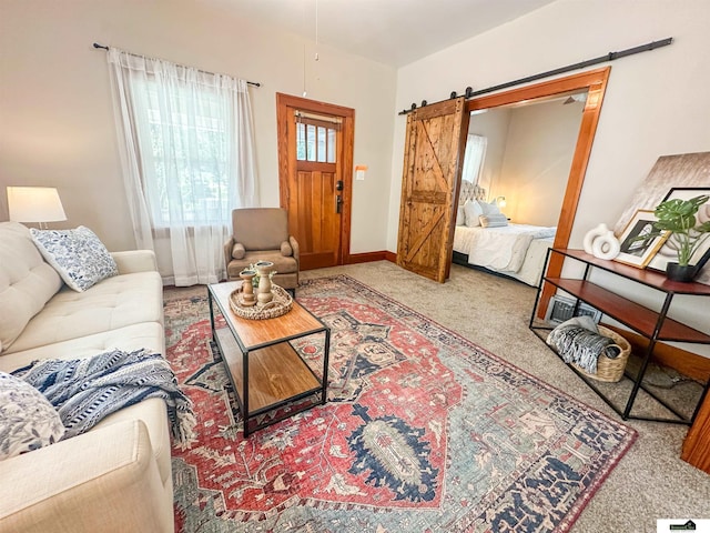 624 A St, Lincoln, NE 68502 - living room featuring a barn door and carpet flooring