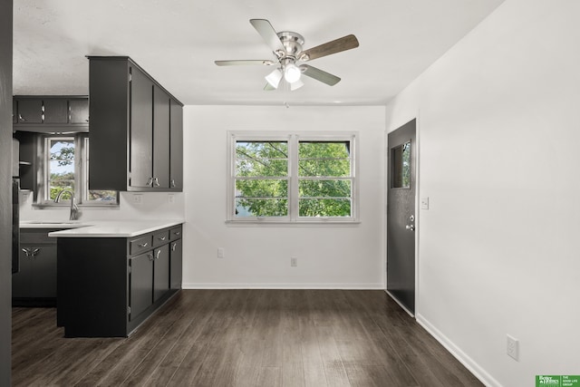 2330 S 90th St, Omaha, NE 68124 - kitchen featuring ceiling fan, light countertops, dark cabinetry, and dark wood finished floors