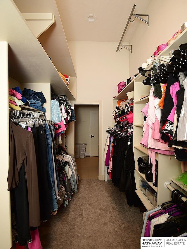 6535 N 157th St, Omaha, NE 68116 - spacious closet featuring carpet floors