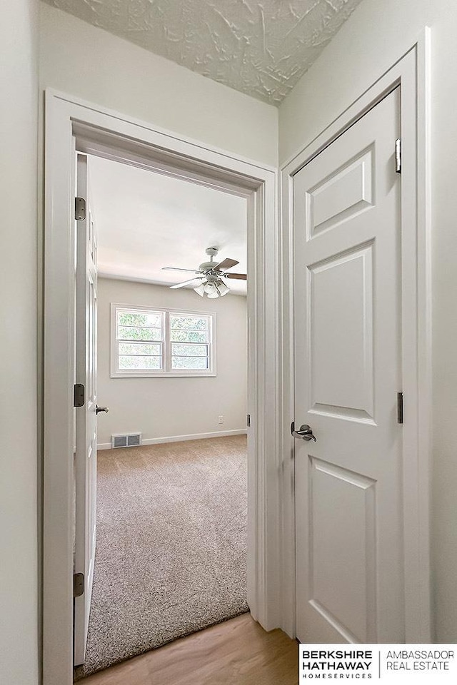 7025 S 41st St, Bellevue, NE 68147 - corridor featuring baseboards and light colored carpet