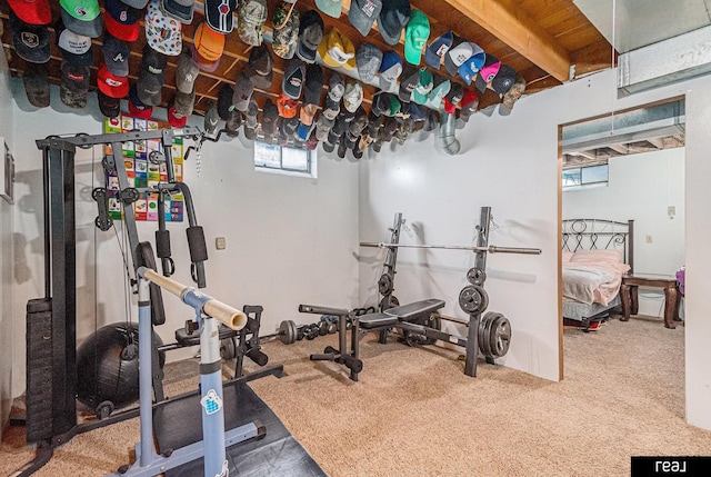 549 Washtington St, Carson, IA 51525 - workout area featuring carpet flooring