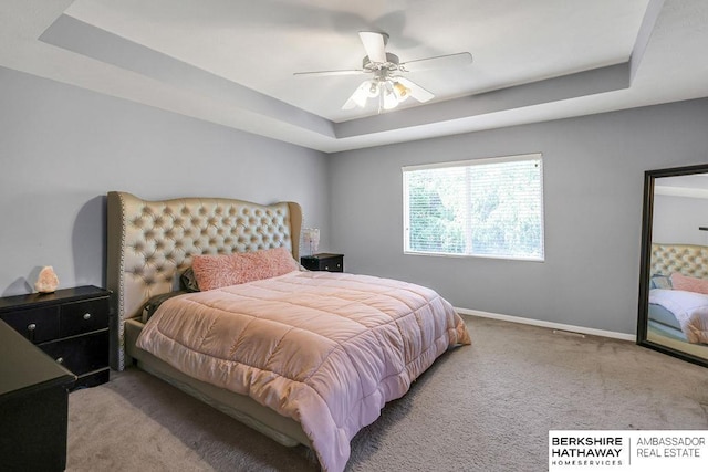 14210 Potter Pkwy, Omaha, NE 68142 - bedroom with a tray ceiling, carpet floors, and a ceiling fan
