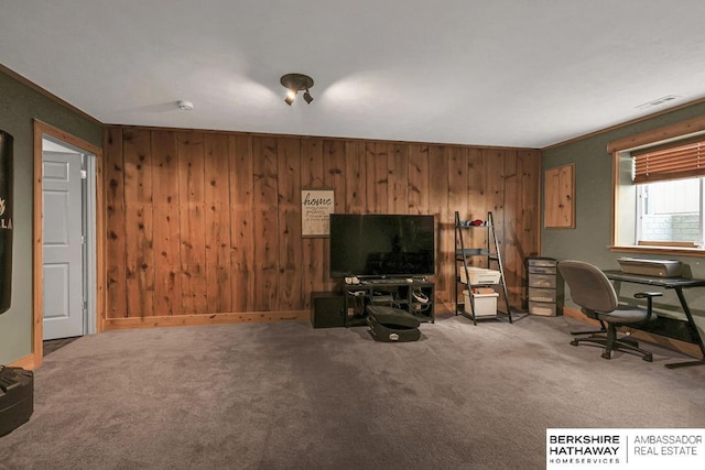 14210 Potter Pkwy, Omaha, NE 68142 - office area featuring carpet flooring and wood walls