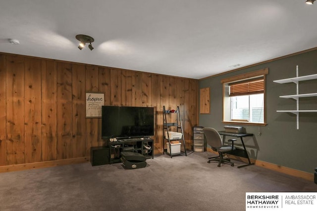 14210 Potter Pkwy, Omaha, NE 68142 - carpeted office space with wooden walls and baseboards