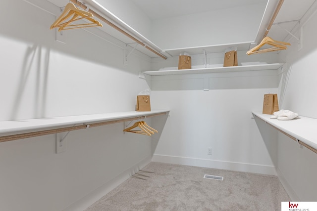 5608 N 212th St, Elkhorn, NE 68022 - spacious closet featuring carpet floors