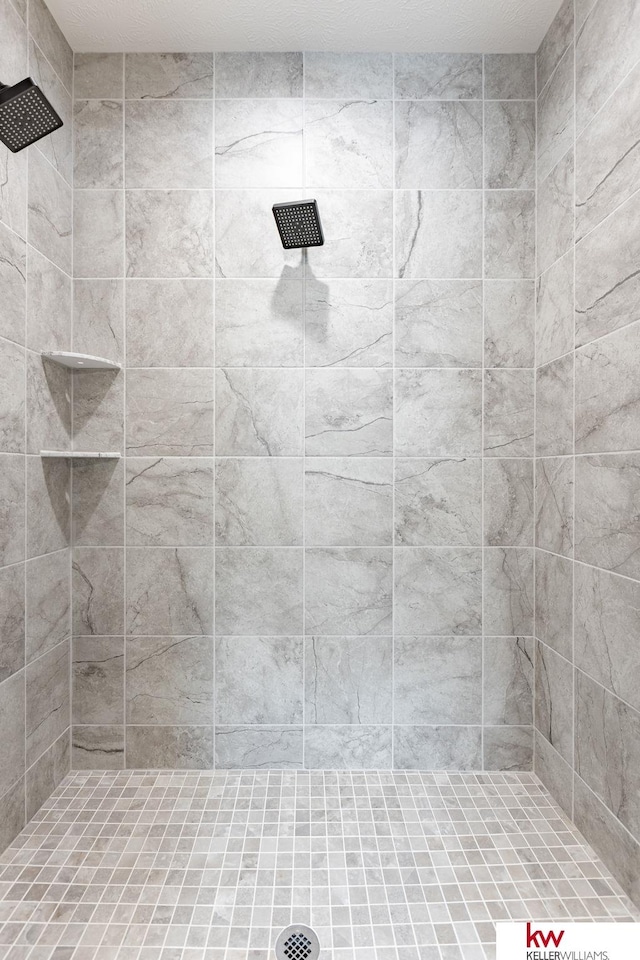 5608 N 212th St, Elkhorn, NE 68022 - bathroom with a tile shower