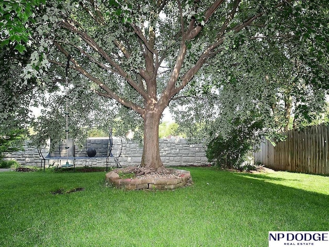 724 N 155th Ave, Omaha, NE 68154 - fenced backyard featuring a trampoline