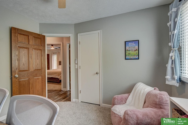 11122 Jefferson St, Omaha, NE 68137 - living area featuring a ceiling fan, carpet floors, and a textured ceiling
