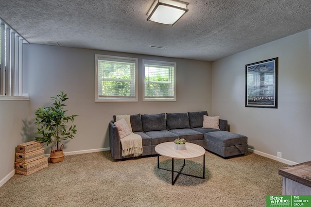 11122 Jefferson St, Omaha, NE 68137 - living area with carpet floors and a textured ceiling