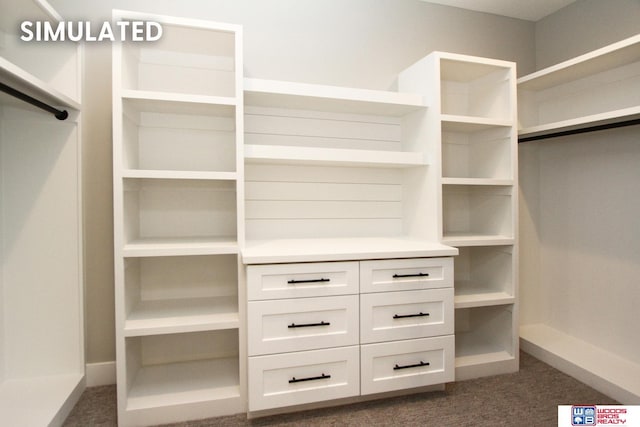 941 N 104th St, Lincoln, NE 68527 - walk in closet featuring dark colored carpet