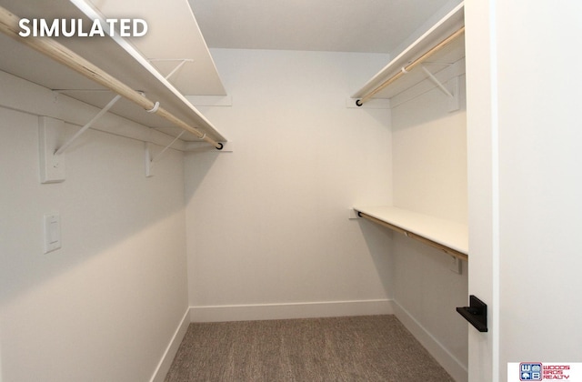 941 N 104th St, Lincoln, NE 68527 - spacious closet with carpet floors